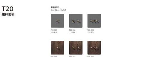 T20 lever smart switch series